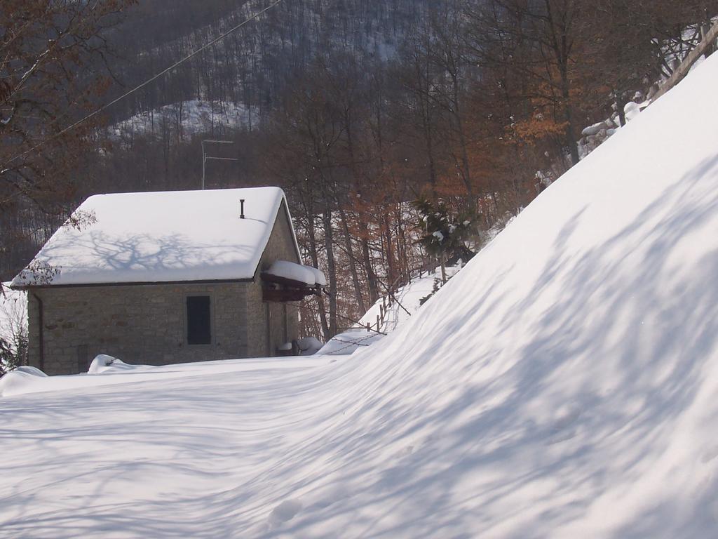 Agriturismo La Motta Villa Frassineta Екстериор снимка